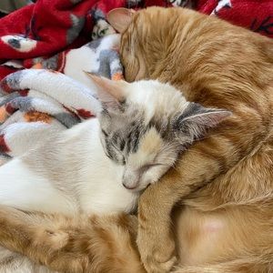 Reserved trade ✨ 💚